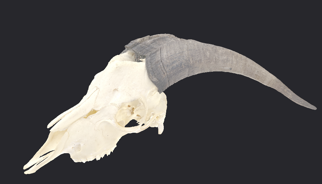 Triad Showcase Image